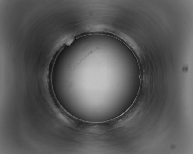 X0000101430485200807141245