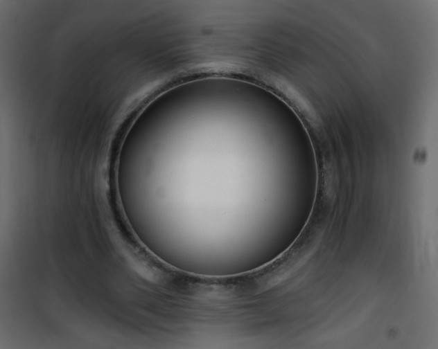 X0000101430486200807141245