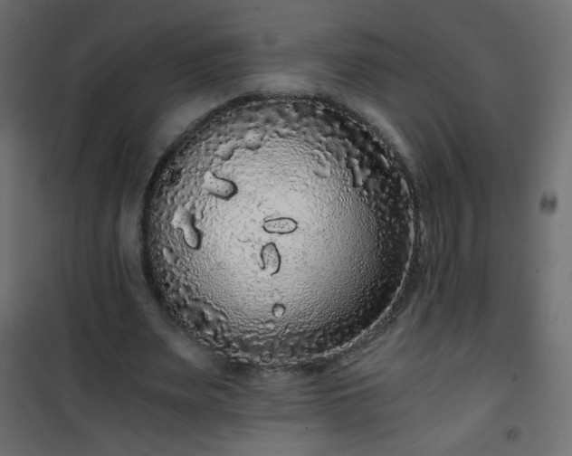 X0000101430487200807141245