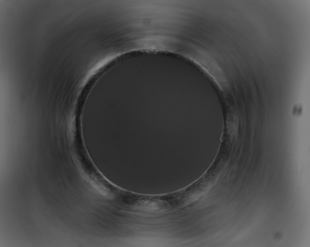 X0000101430488200807141245