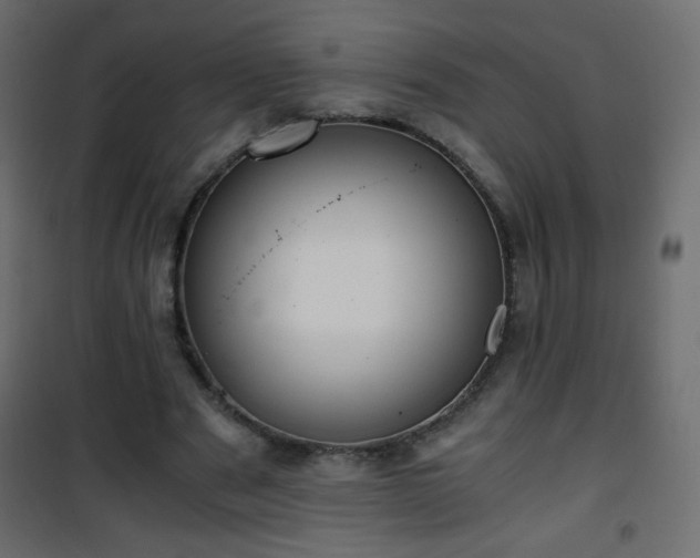 X0000101430489200807141245