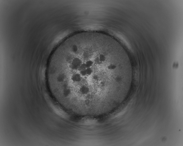 X0000101430491200807141245