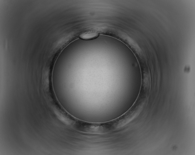 X0000101430493200807141245
