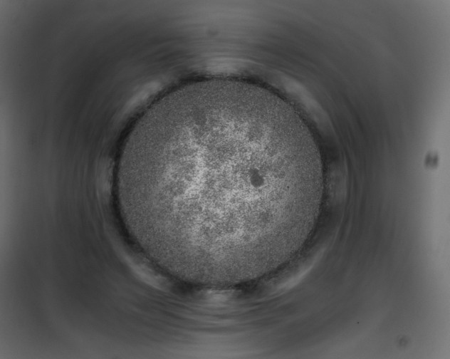 X0000101430495200807141245