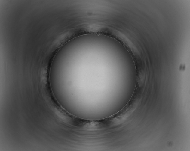 X0000101430497200807141245