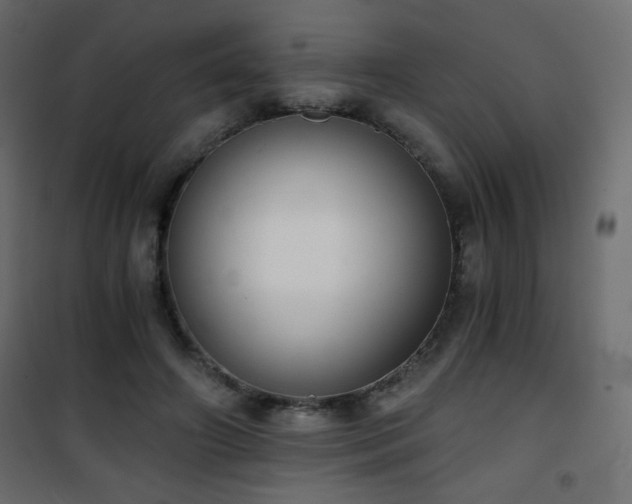 X0000101430498200807141245