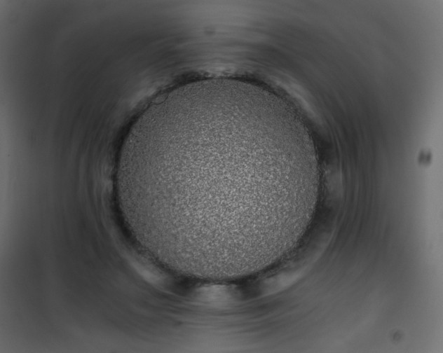 X0000101430499200807141245