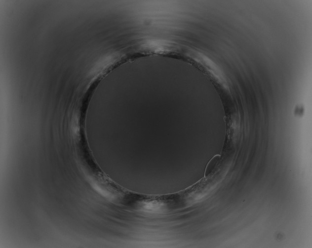 X0000101430500200807141245