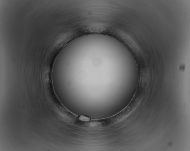 X0000101430501200807141245