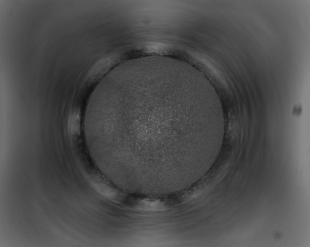 X0000101430502200807141245