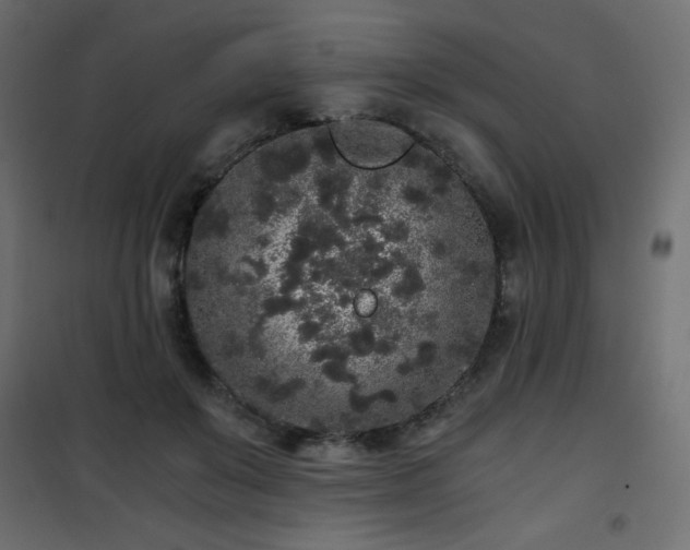 X0000101430503200807141245