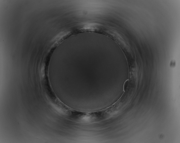 X0000101430504200807141245