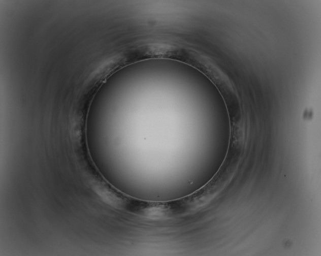 X0000101430505200807141245