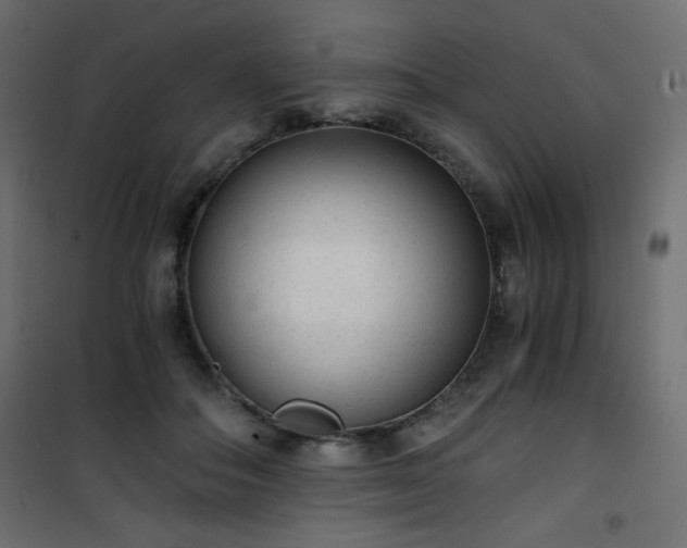 X0000101430506200807141245