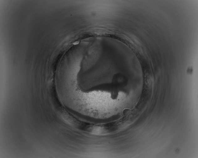 X0000101430507200807141245