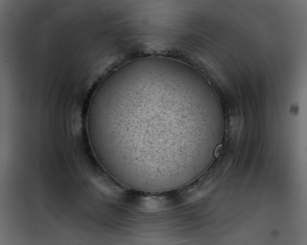 X0000101430508200807141245