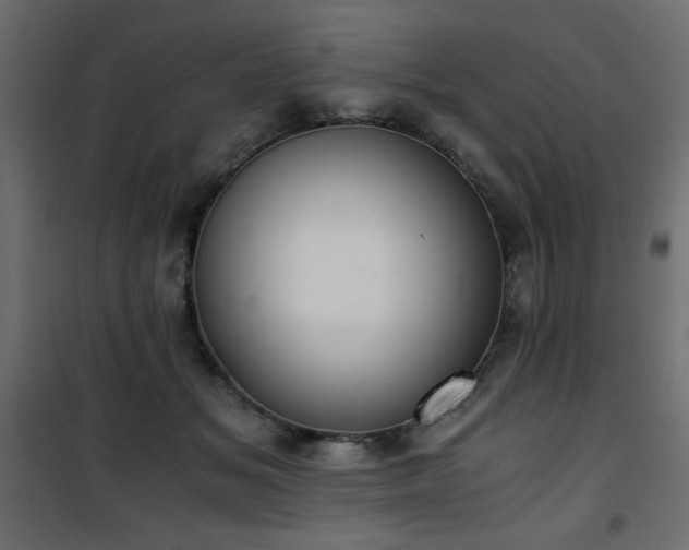 X0000101430509200807141245