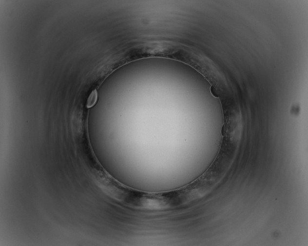 X0000101430510200807141245