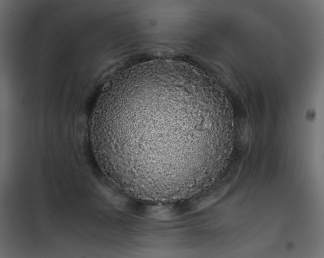 X0000101430511200807141245