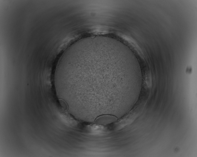 X0000101430512200807141245