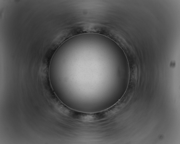 X0000101430513200807141245
