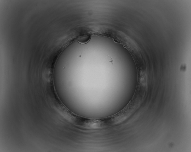X0000101430514200807141245