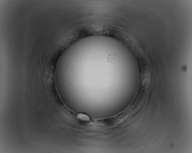 X0000101430515200807141245