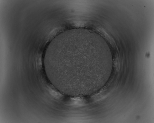 X0000101430516200807141245