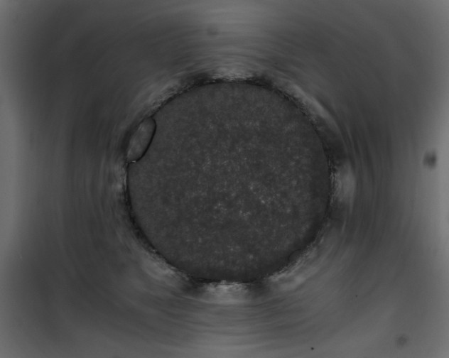 X0000101430517200807141245