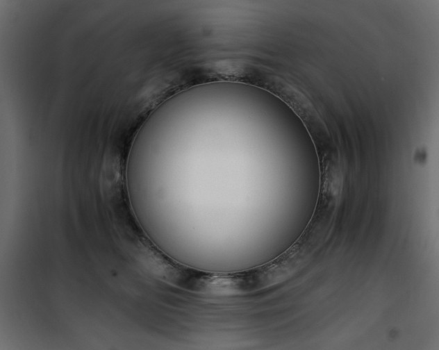 X0000101430518200807141245