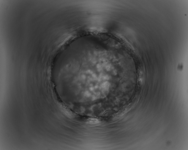 X0000101430519200807141245