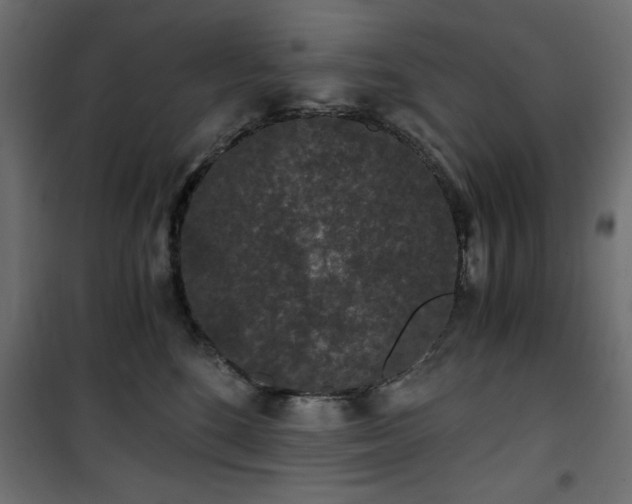 X0000101430520200807141245