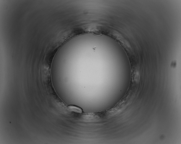 X0000101430521200807141245