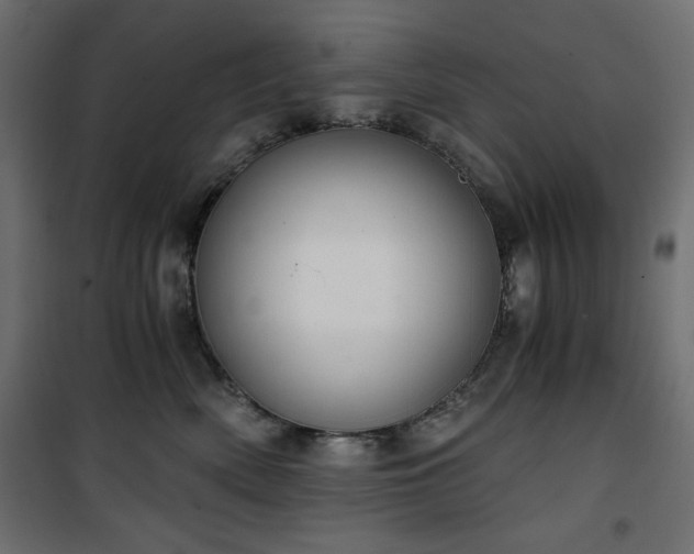 X0000101430522200807141245
