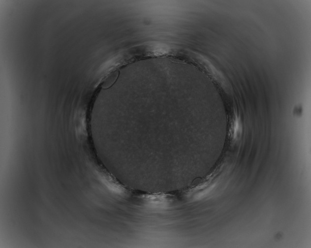X0000101430524200807141245
