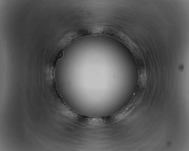 X0000101430525200807141245