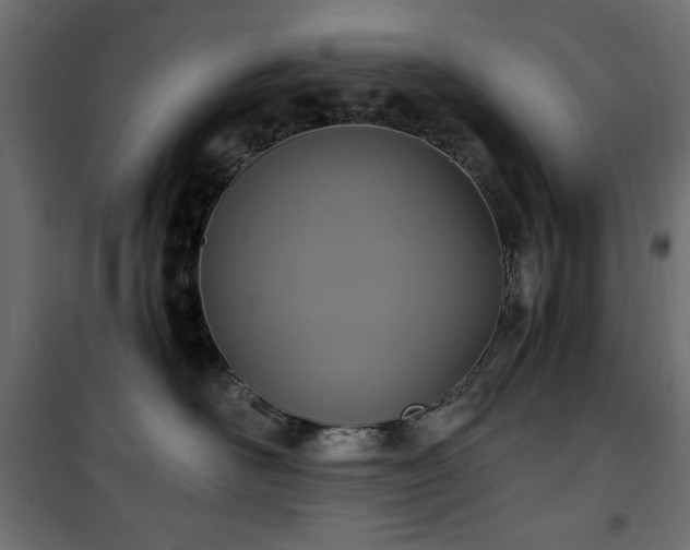 X0000101430526200807141245