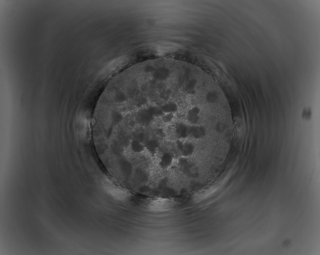 X0000101430527200807141245