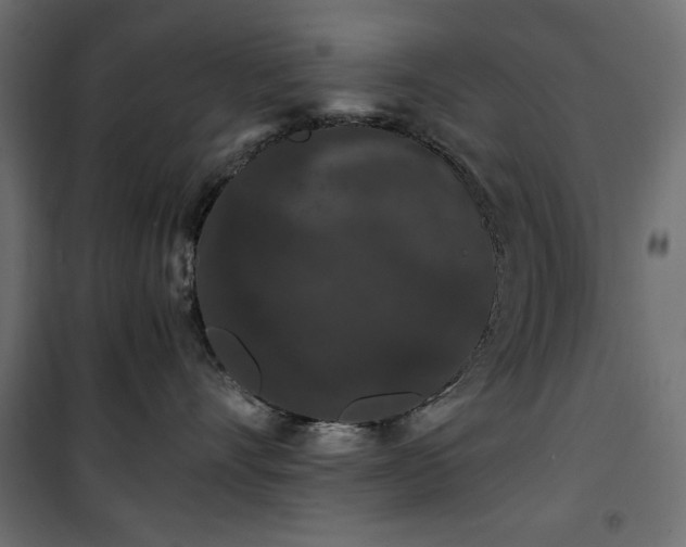 X0000101430528200807141245
