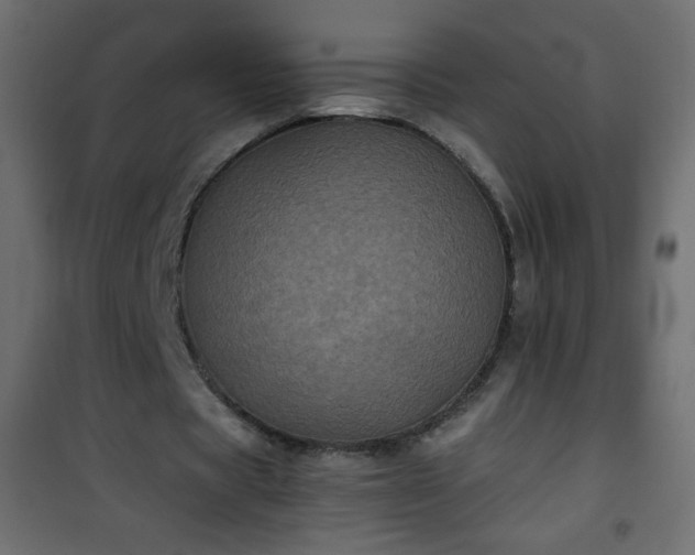 X0000101430529200807141244