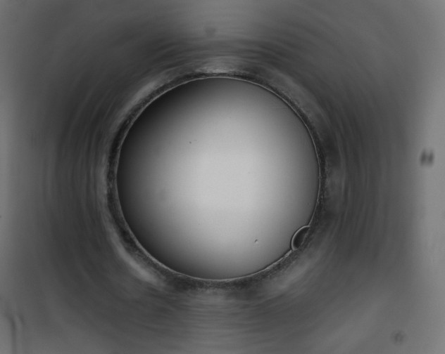 X0000101430530200807141244
