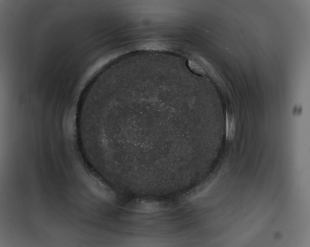 X0000101430531200807141244