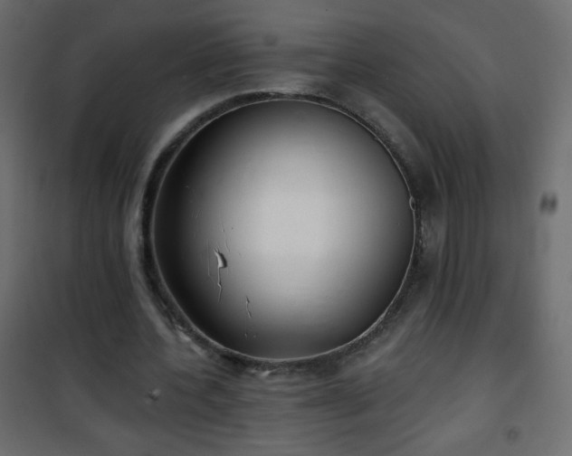 X0000101430532200807141244