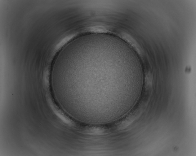 X0000101430533200807141244