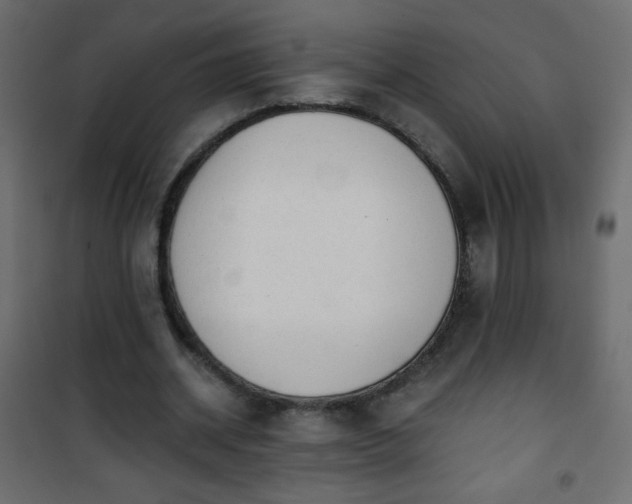 X0000101430534200807141244