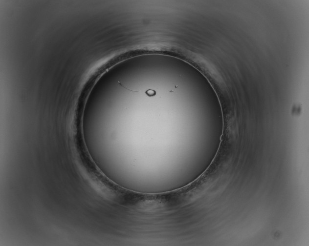 X0000101430536200807141244