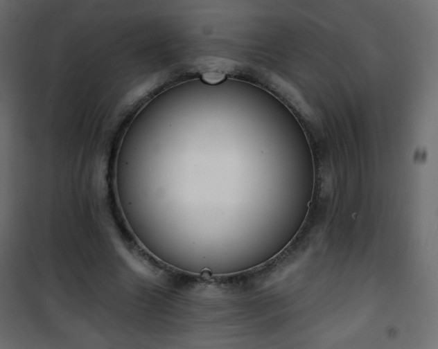 X0000101430538200807141244