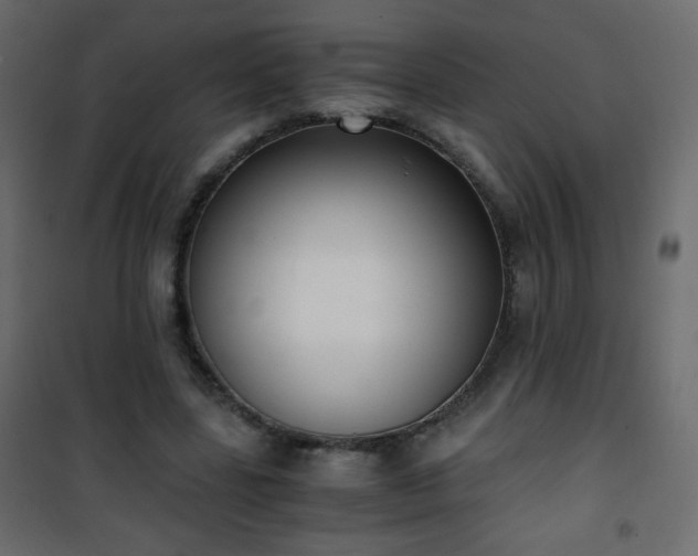 X0000101430539200807141244