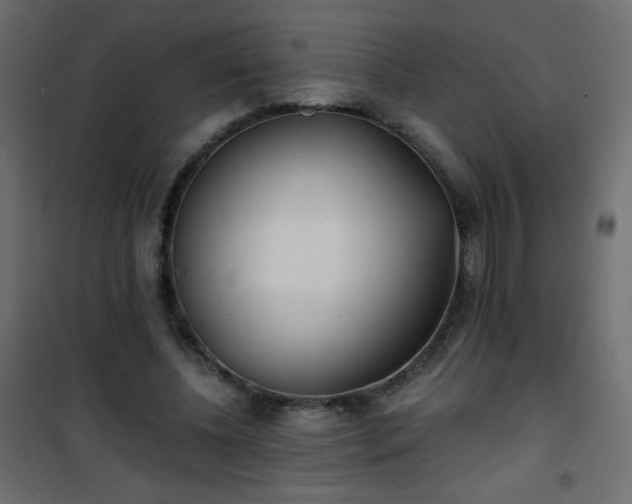 X0000101430540200807141244