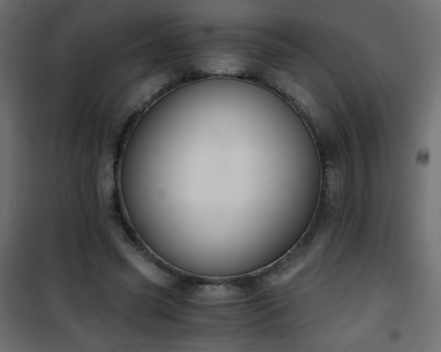 X0000101430541200807141244